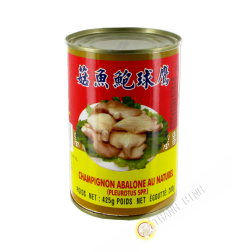 Nấm bào ngư EAGLOBE 425g Trung Quốc