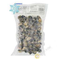 Carne di lumaca EXOSTAR 500g Vietnam - SURGELES