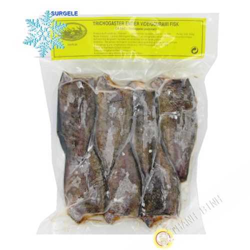 El gurami peces EXOSTAR 500g de Vietnam - SURGELES