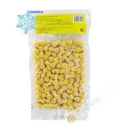 Hạt giống lotus EXOSTAR 200g Việt Nam - SURGELES