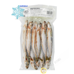 Sgombro banana EXOSTAR 1kg Vietnam - SURGELES