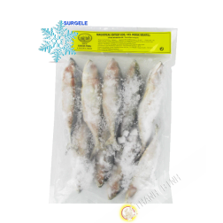 Sgombro, decalcificata, sventrato EXOSTAR 1kg Vietnam - SURGELES