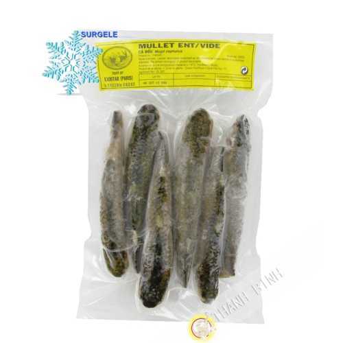 di muggine intera EXOSTAR 500g Vietnam - SURGELES