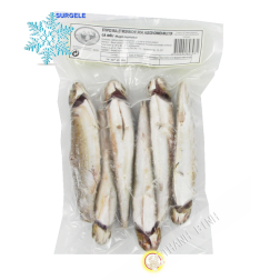 di muggine intera EXOSTAR 500g Vietnam - SURGELES
