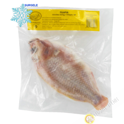 Tilapia reale EXOSTAR 1kg Vietnam - SURGELES