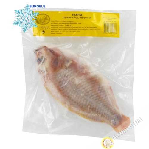 Tilapia Royal EXOSTAR 1kg Vietnam - SURGELES