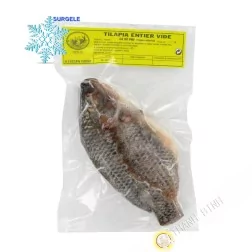 La Tilapia entera vacío kg