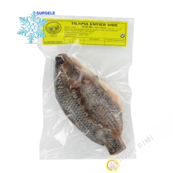 Tilapia entire leer kg