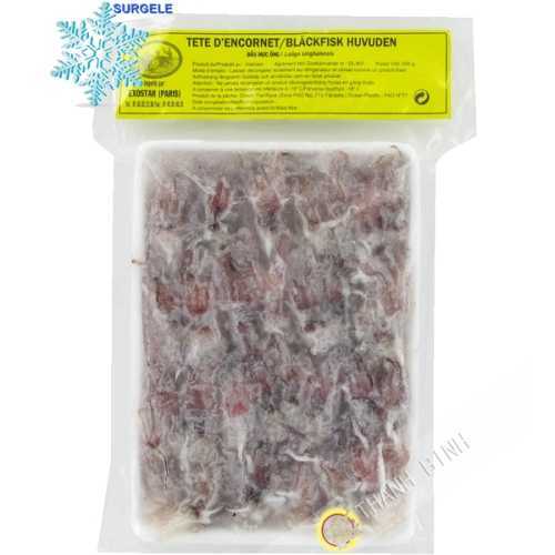 Head of cuttlefish EXOSTAR 500g Vietnam - SURGELES