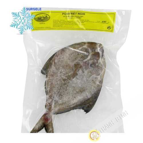 Pomfret schwarz 400/500 kg