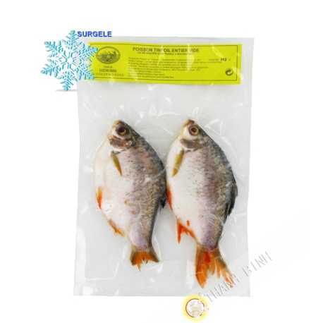 Poisson Tinfoil kg