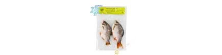 Fish Tinfoil EXOSTAR 1kg Vietnam - SURGELES
