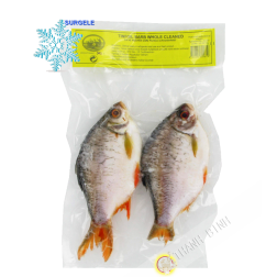 Fish Tinfoil EXOSTAR 1kg Vietnam - SURGELES