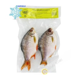 Peces de papel de Aluminio EXOSTAR 1kg Vietnam - SURGELES