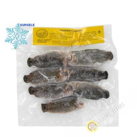 Los peces de escalada EXOSTAR 500g de Vietnam - SURGELES