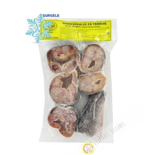 Poisson Ca Loc Ophiocephalus tranche EXOSTAR 500g Vietnam - SURGELES