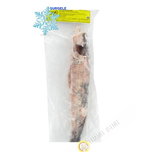 Fish Ca Loc Ophiocephalus Whole EXOSTAR 1kg Vietnam - SURGELES