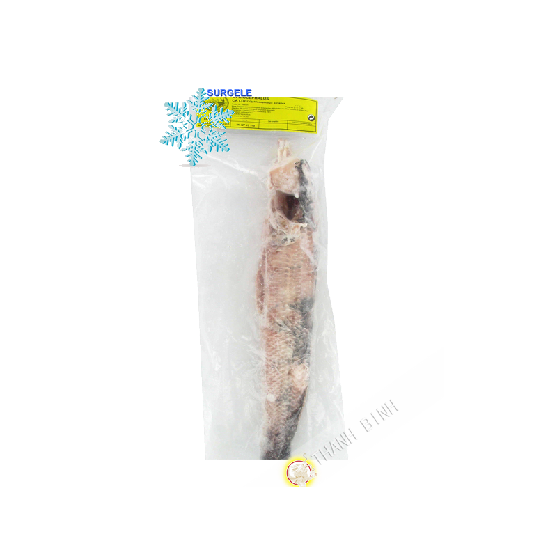 Poisson Ca Loc Ophiocephalus Entier EXOSTAR 1kg Vietnam - SURGELES Poisson Ca Loc Ophiocephalus Entier EXOSTAR 1kg Vietnam - SURGELES