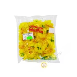 Gelbe Blume - Hoa Mai