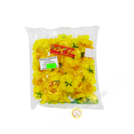 Fleur Jaune - Hoa Mai