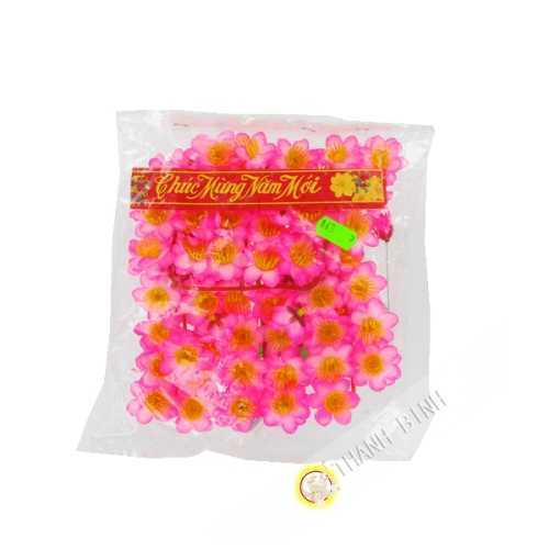 Pink flower Hoa Dao for New Year Vietnam