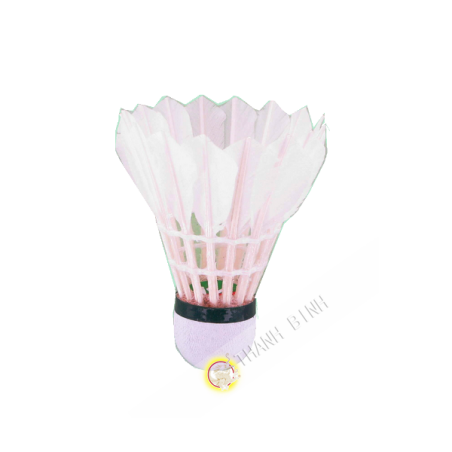 Volant Badminton