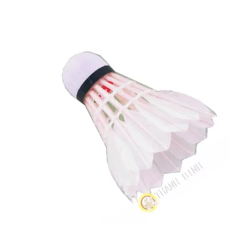 Lenkrad Badminton Vietnam