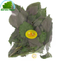 Tia to 100g- FRAIS