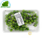 Aubergine mini-Thailand-100g - TARIF