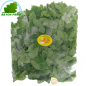 Bo ngot Vietnam (200g)- COSTOS de