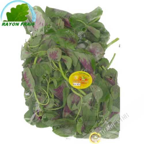 Spinach rau Den Vietnam 100g - FRESH