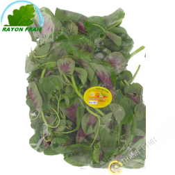 Spinaci Viet (kg)