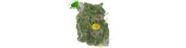 Spinach rau Den Vietnam 100g - FRESH