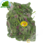 Spinaci rau Den Vietnam 100g - FRESCO