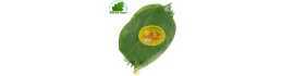 Blatt betel, Vietnam 100g - TARIF