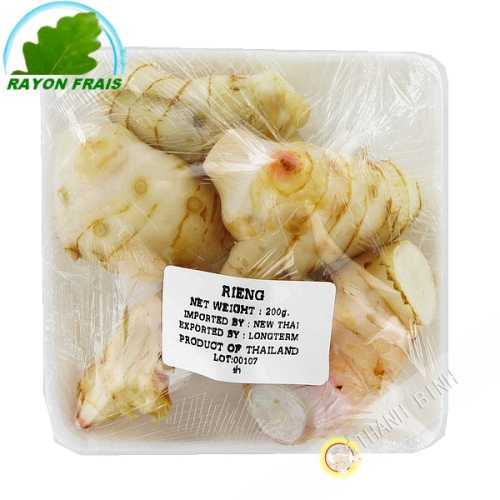 Galangal Thailand 100g - FRESH