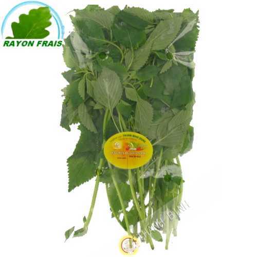 Kinh gioi Vietnam 100 g - FRESH