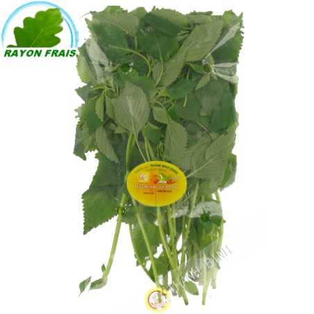 Kinh gioi Vietnam 100g - FRESH