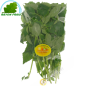 Kinh gioi Vietnam 100g - TARIF