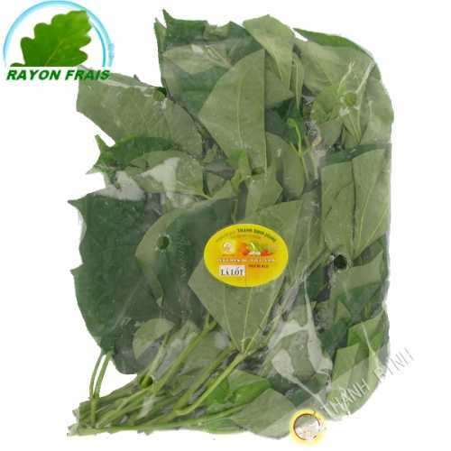 Feuille La lot Vietnam 100g- FRAIS