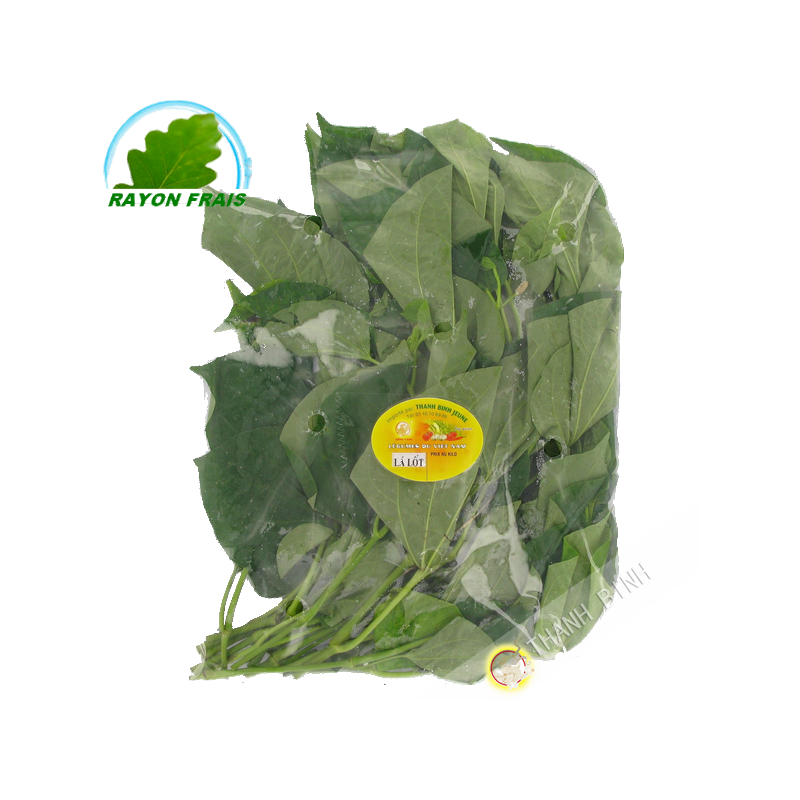 Lá lốt - Việt Nam - 100g - Tươi