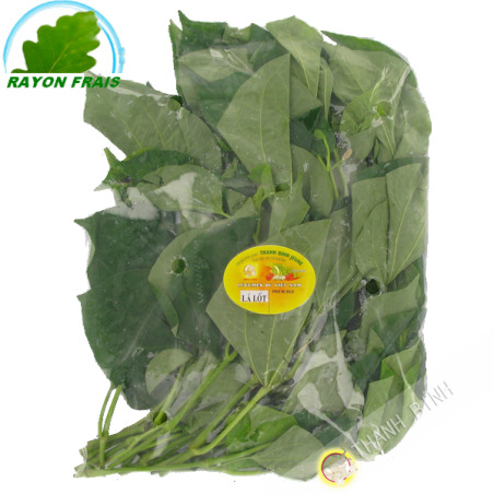 Lá lốt - Việt Nam - 100g - Tươi