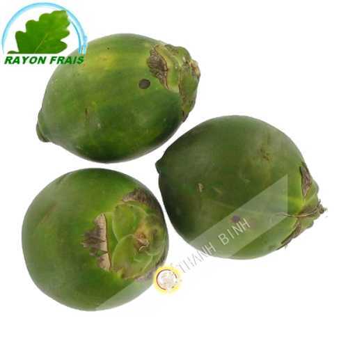 Noix d'arec Vietnam - FRAIS - Env. 500g