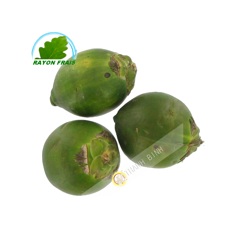Areca nut in Vietnam - COST - Approx. 500g