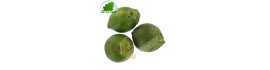 Tuerca de Areca en Vietnam - COSTO - Aprox. 500g