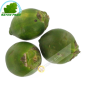 Tuerca de Areca en Vietnam - COSTO - Aprox. 500g