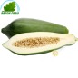 Papaya verde Thailandia (camera)- COSTO - Ca. 600g