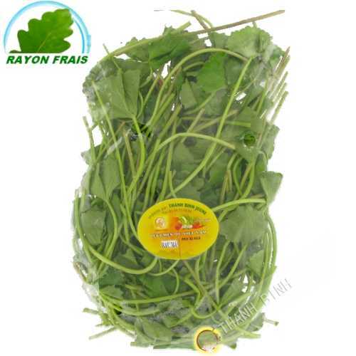 Pennywort 100g - FRESH