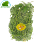 Centella asiática 100 g - FRESH