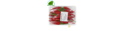 Rote paprika 100g - TARIF
